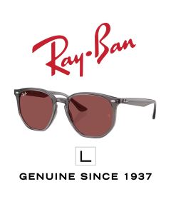 Original-solglasögon > Ray-Ban 4306 · 6873/75