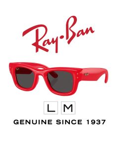 Originalsolglasögon > Ray-Ban 4940 - Puffer 6831/87