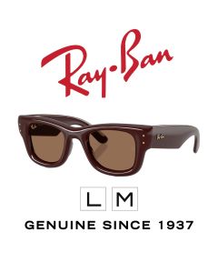 Originalsolglasögon > Ray-Ban 4940 - Puffer 6877/73