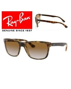 2x Original Ersättningsskalmar > Ray-Ban 4181