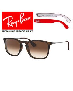 Ray-Ban 4187 Ersättningsarmar