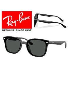 2x Original Ersättningsskalmar > Ray-Ban 4461D