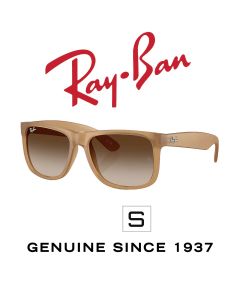 Original-solglasögon > Ray-Ban 4165 · Justin 6814/13